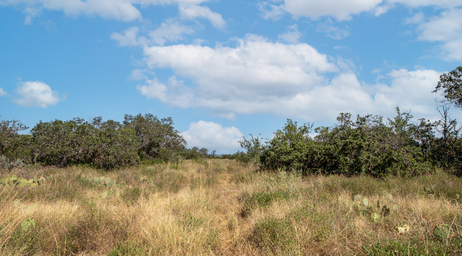 Sunset Ranch | 25-Acre Ranch for Sale in McCulloch County, Texas | Jacoby Land Co