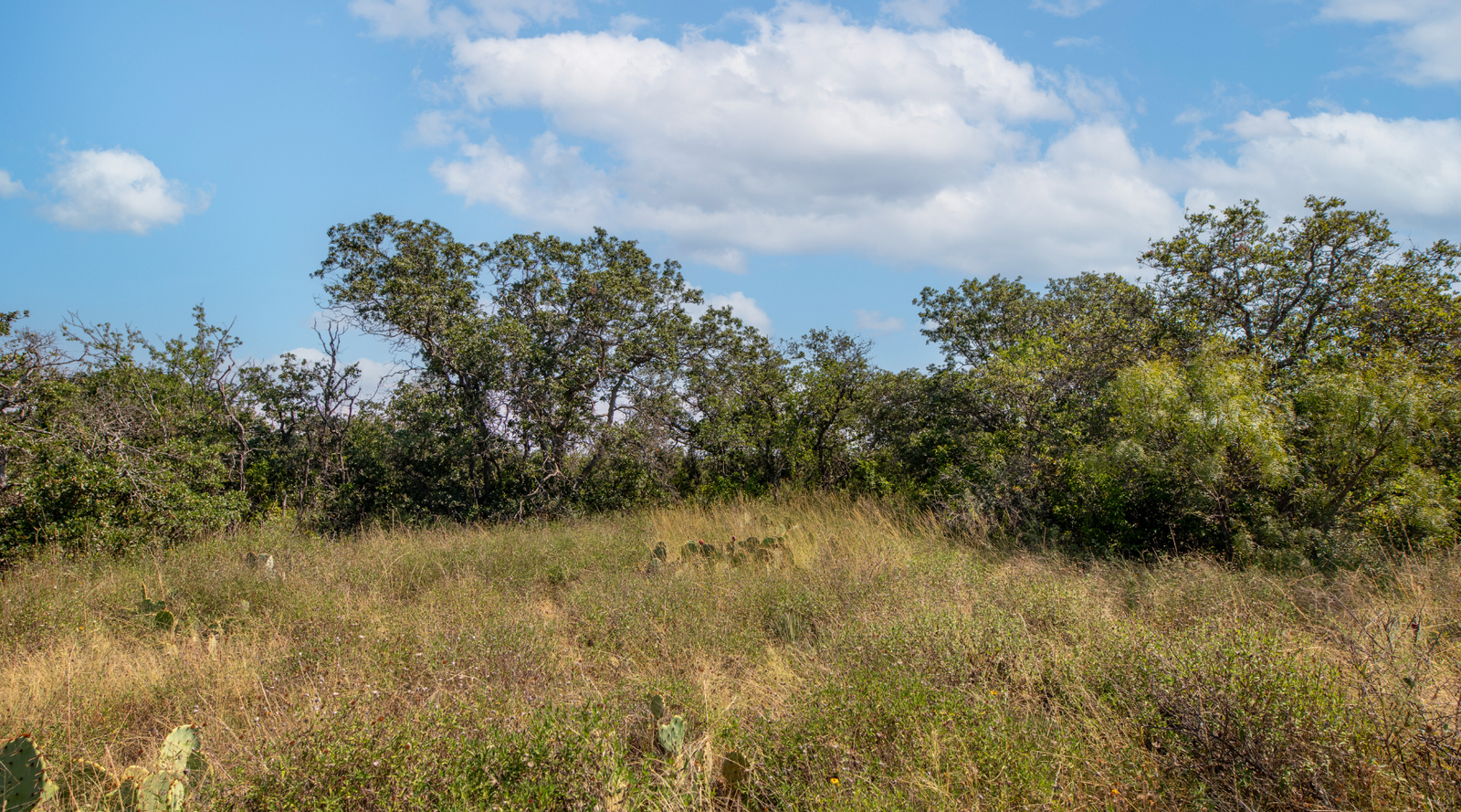 Sunset Ranch | 25-Acre Ranch for Sale in McCulloch County, Texas | Jacoby Land Co