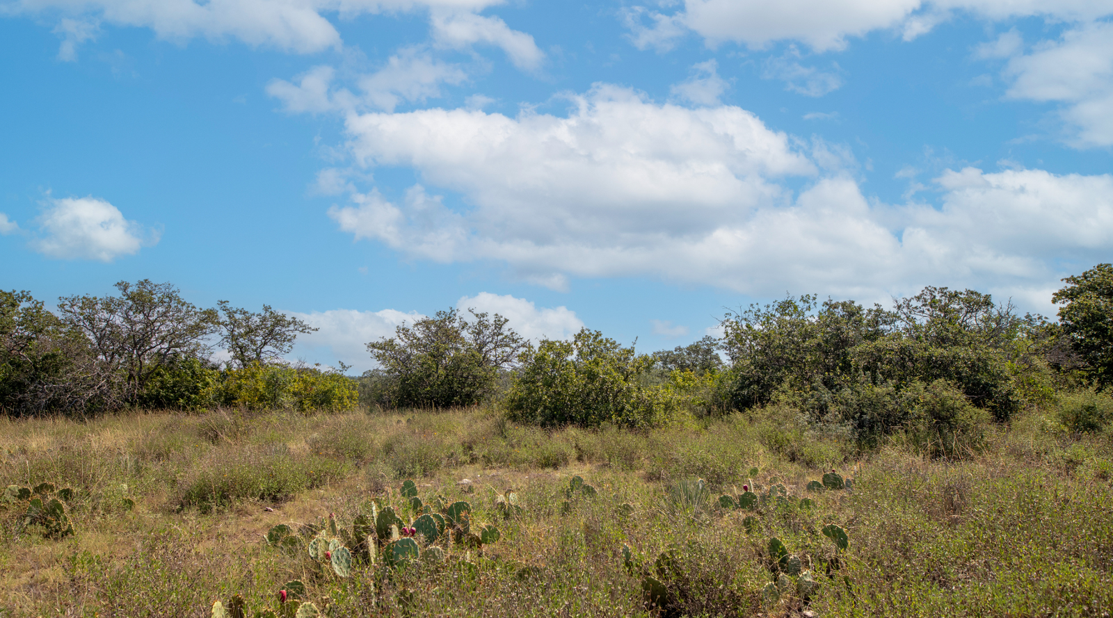 Sunset Ranch | 25-Acre Ranch for Sale in McCulloch County, Texas | Jacoby Land Co
