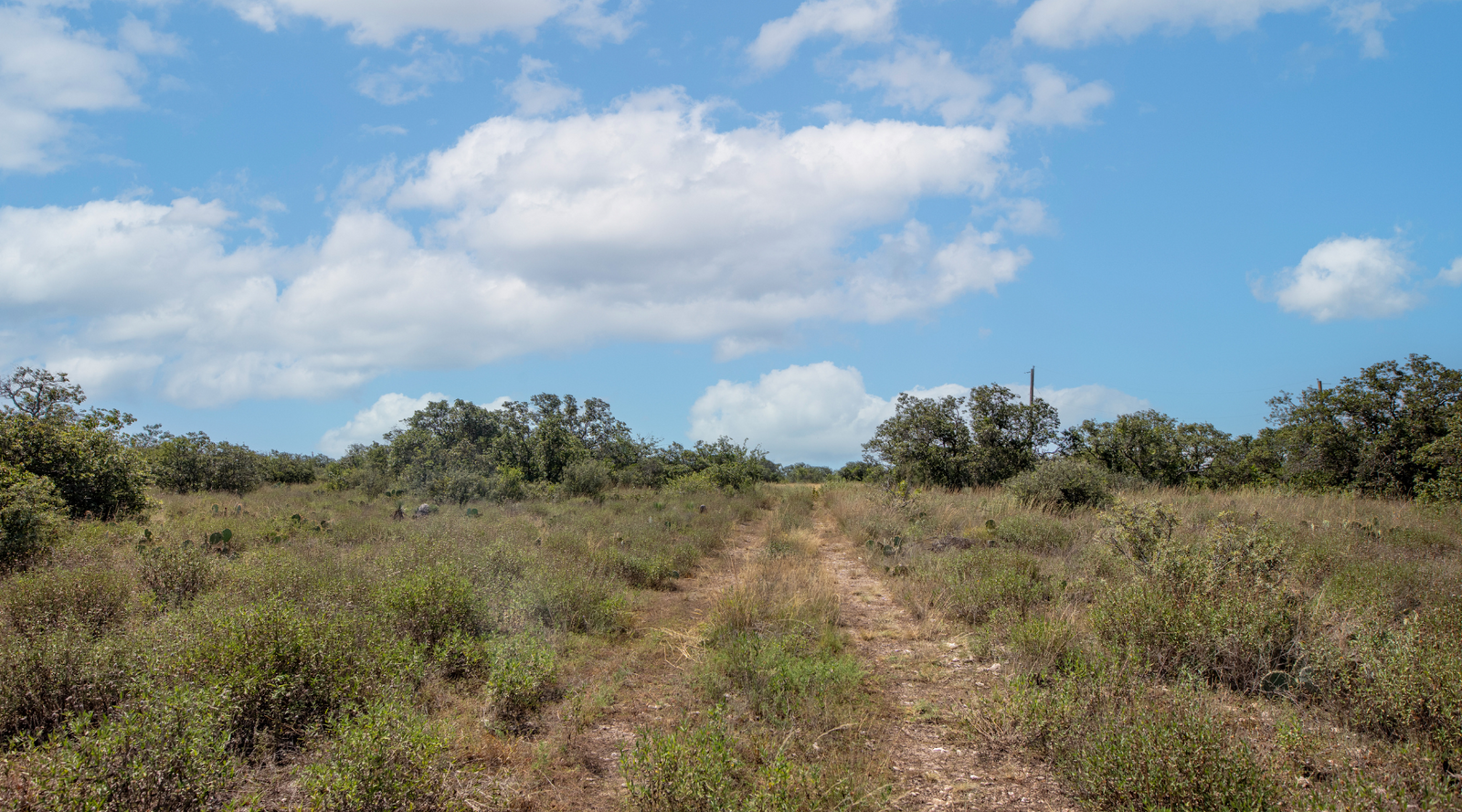 Sunset Ranch | 25-Acre Ranch for Sale in McCulloch County, Texas | Jacoby Land Co