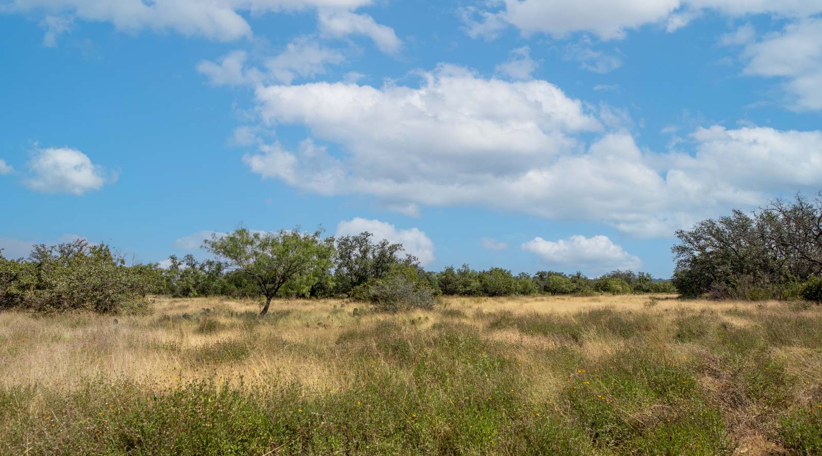 Sunset Ranch | 25-Acre Ranch for Sale in McCulloch County, Texas | Jacoby Land Co