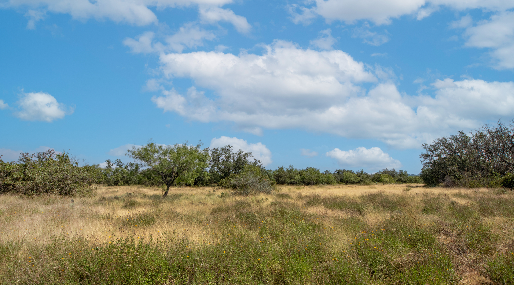 Sunset Ranch | 25-Acre Ranch for Sale in McCulloch County, Texas | Jacoby Land Co