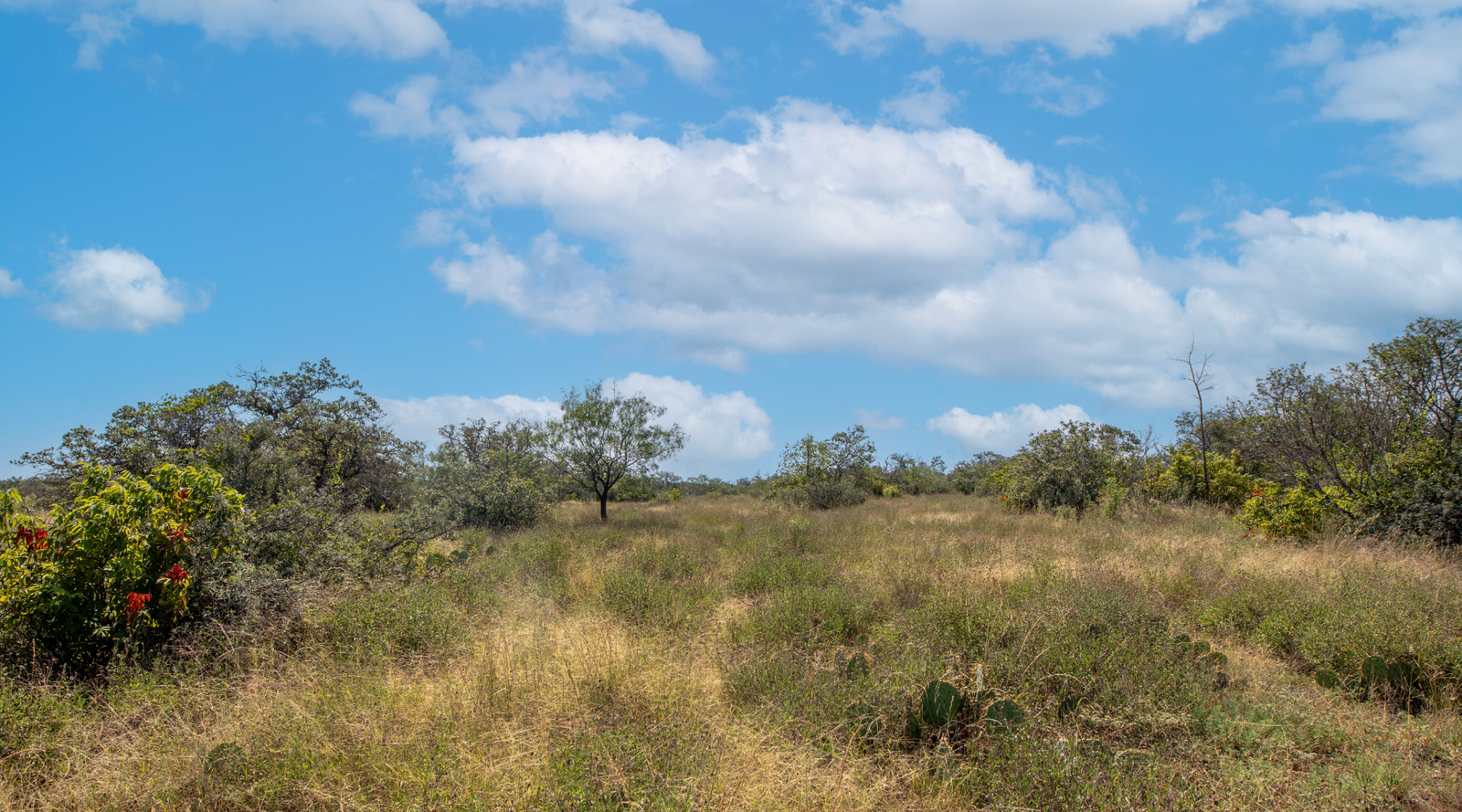 Sunset Ranch | 25-Acre Ranch for Sale in McCulloch County, Texas | Jacoby Land Co